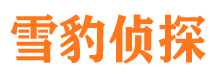 隆阳外遇调查取证